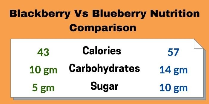 Blackberry Vs Blueberry - Health Impact And Nutrition Comparison